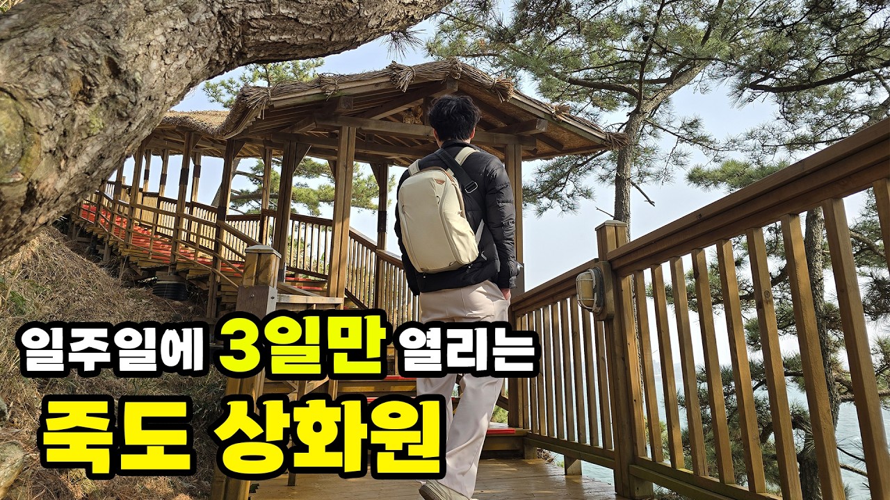 충남 보령 여행 죽도 상화원 2024년 개장했어요. 금, 토, 일요일만 들어갈 수 있는 곳! 9경 중 2경이에요.