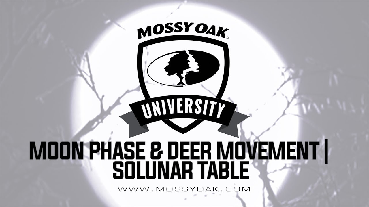 Moon Phase and Deer Movement - Solunar Table