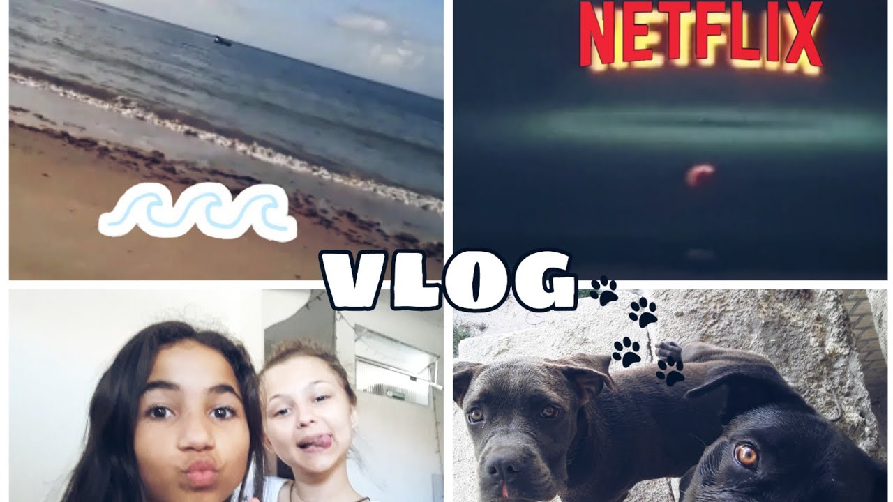 💙 vlog (realz&atilde;o)💙