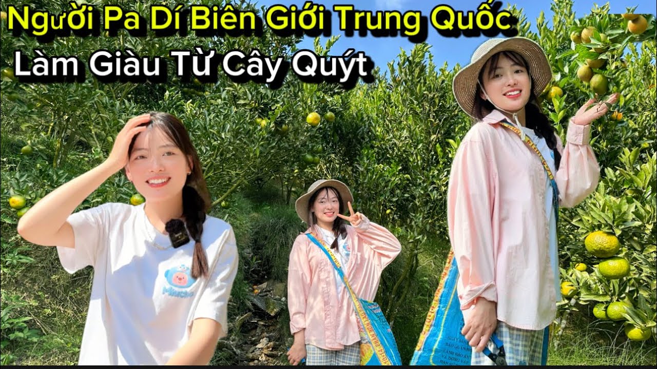 Bất Ngờ Với Cách Làm Kinh Tế Của Người Dân Tộc Pa Dí, Được Cô Gái Miền Núi Tặng Quà Quý.