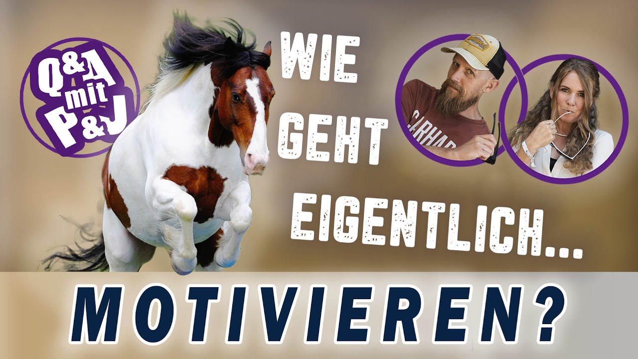 Was ist echte Motivation bei Pferden? | Q&A Session