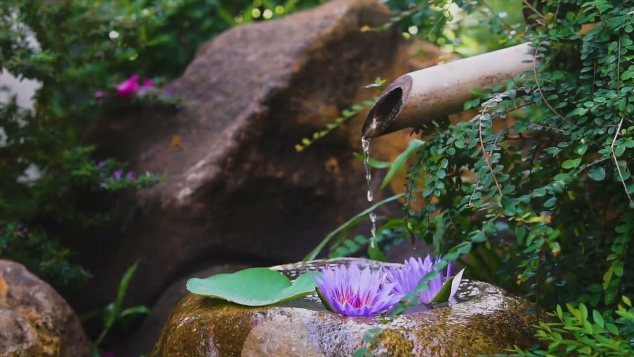 Embodiment Meditation | Feeling Safe Being Who You Are | Sarah Sparks- Chief Soul Strategist