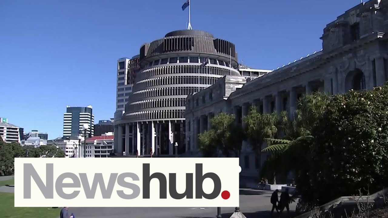 Govt rules out changes to voting age, prisoner eligibility following electoral review | Newshub