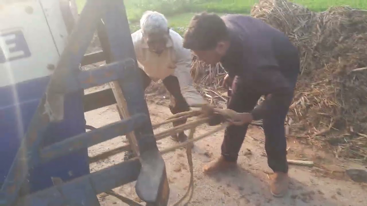  Comedy video  part 2