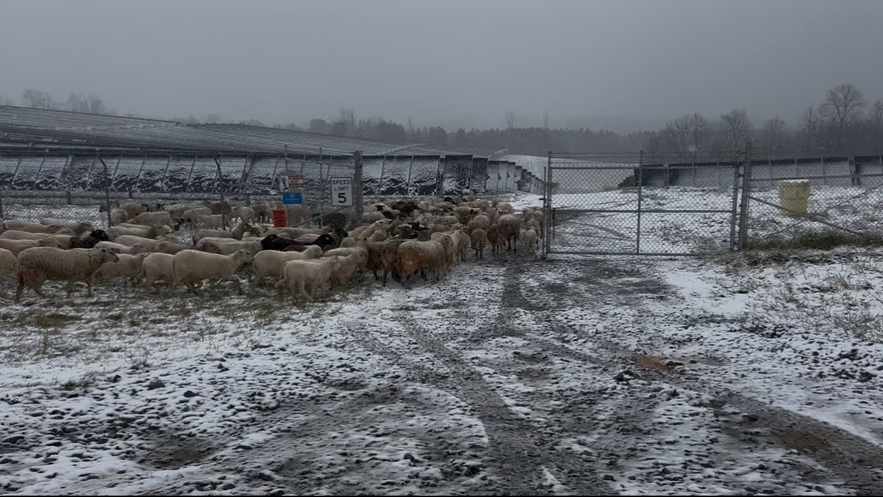 Snow moving