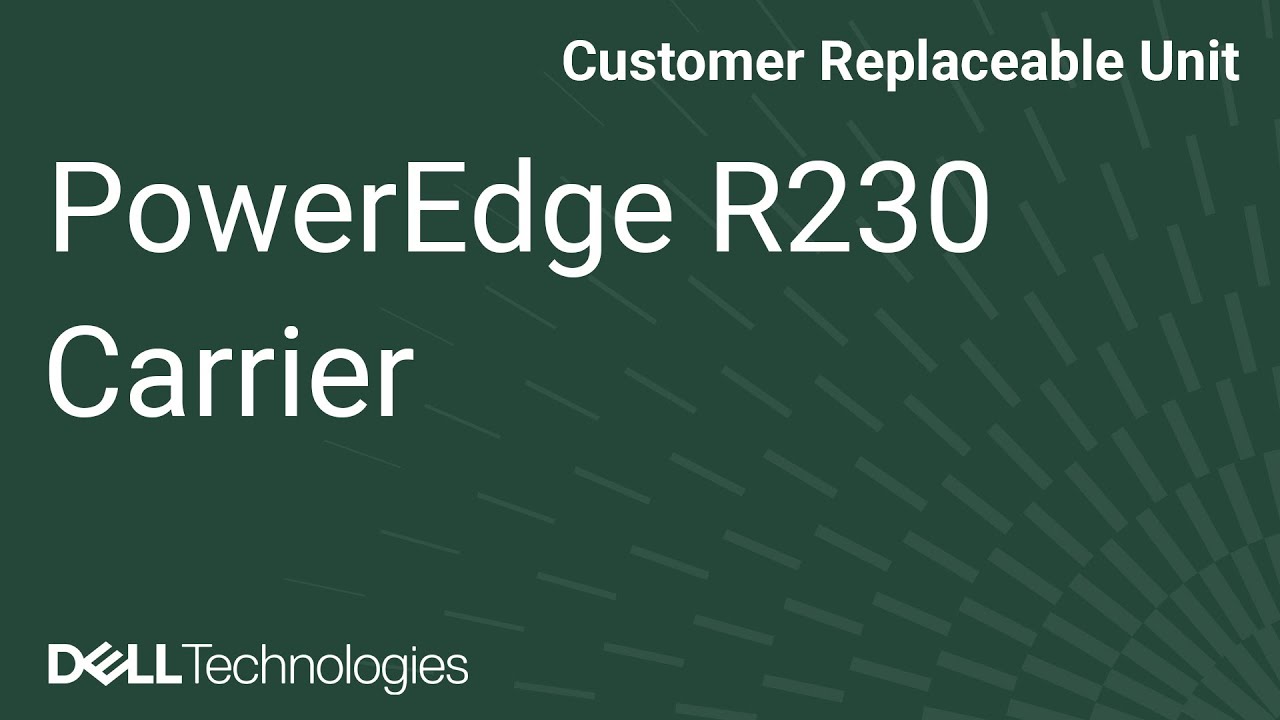 PowerEdge R230: Remove/Install Hard Drives and Carrier