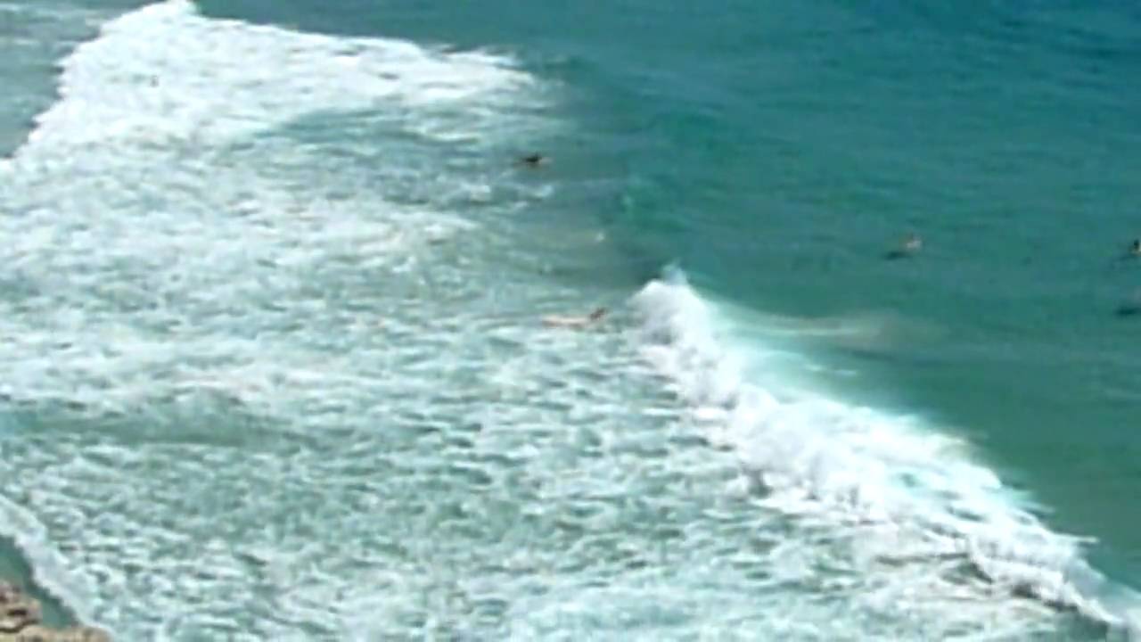 Surfing with Sharks at North Stradbroke Island 1