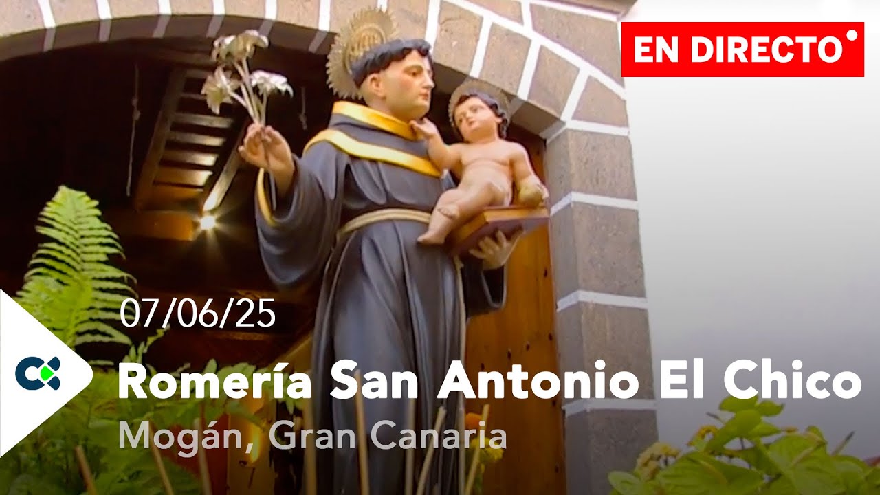 Romería de San Antonio El Chico | 2025