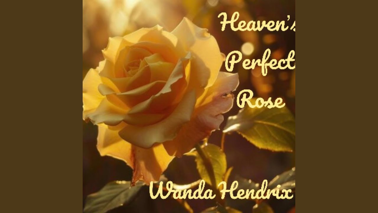 Heaven's Perfect Rose