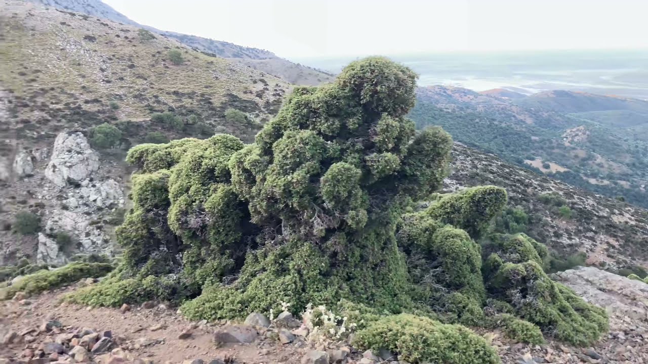 Samothraki