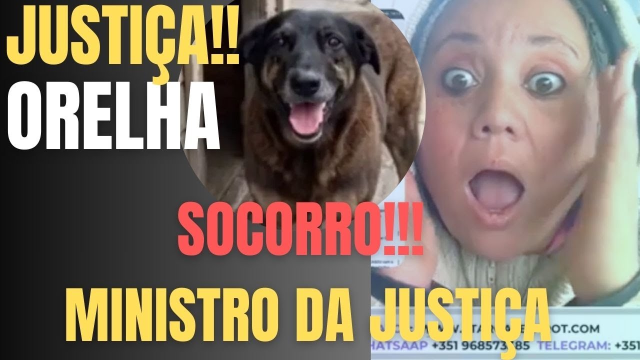 ORELHA TODO MUNDO MENTINDO O TEMPO TODO!!