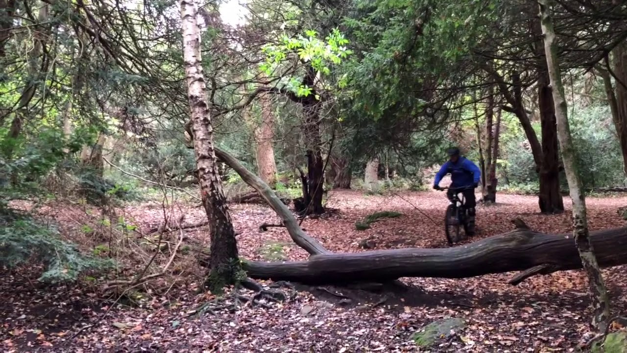 Whitwick woods mtb