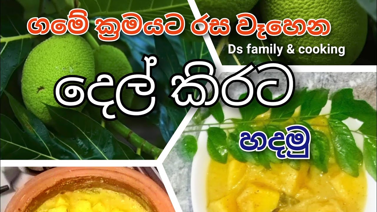 ගමේ ක්‍රමයට රස වෑහෙන දෙල් කිරට හදමු | How to make del curry | Breadfruit curry