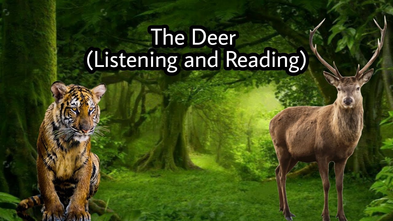 The Deer ( Story )
