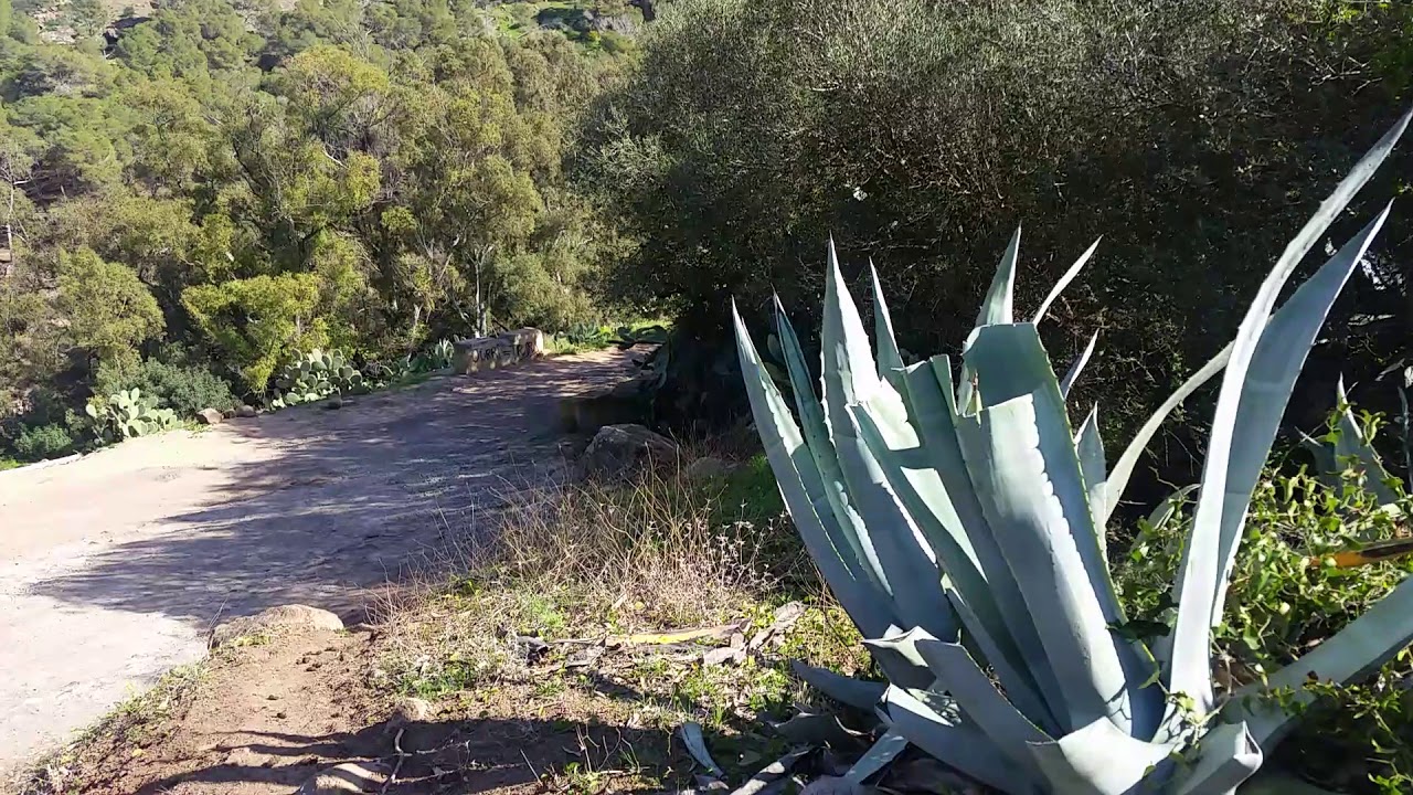 بني شيكر  nador