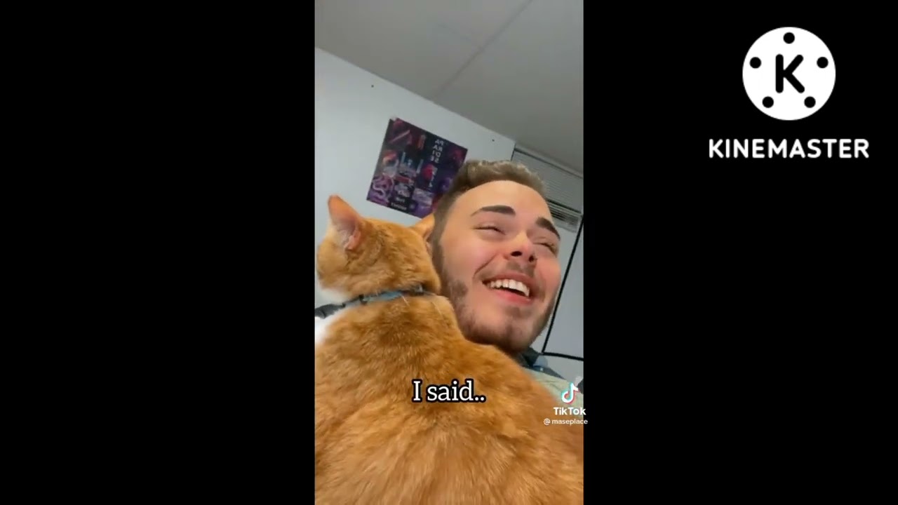 Cooter the talking cat