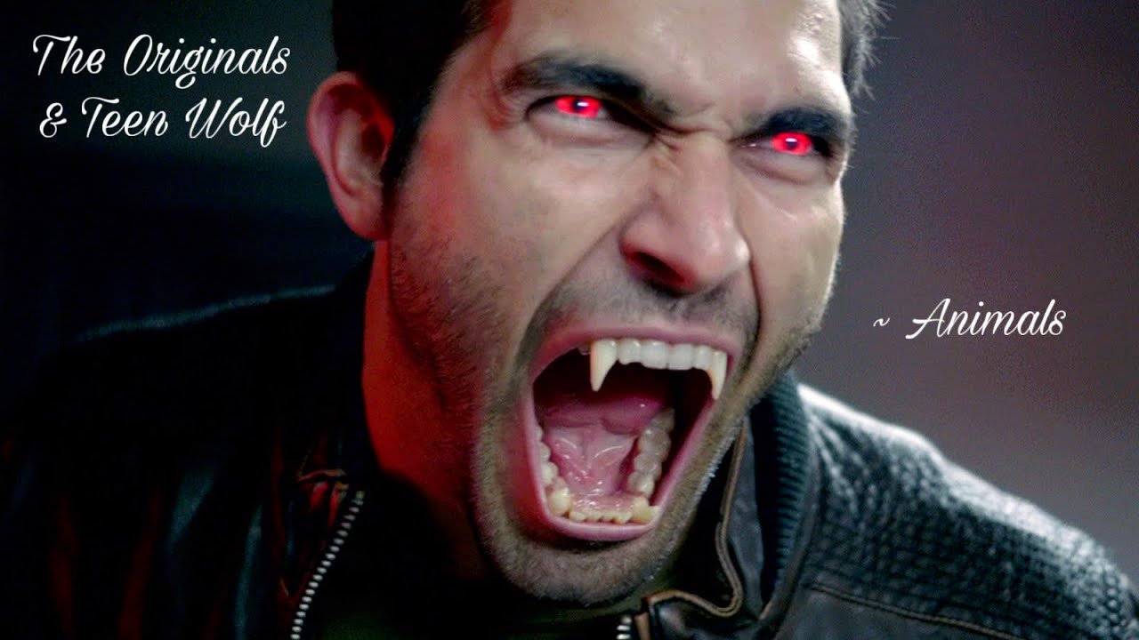The Originals & Teen Wolf ~ Animals