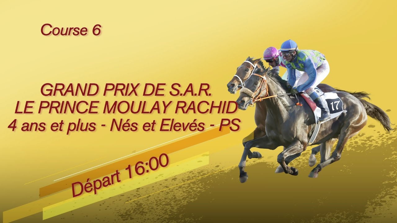 COURSE 5 : COUPE DE VITESSE_17 MARS 2017
