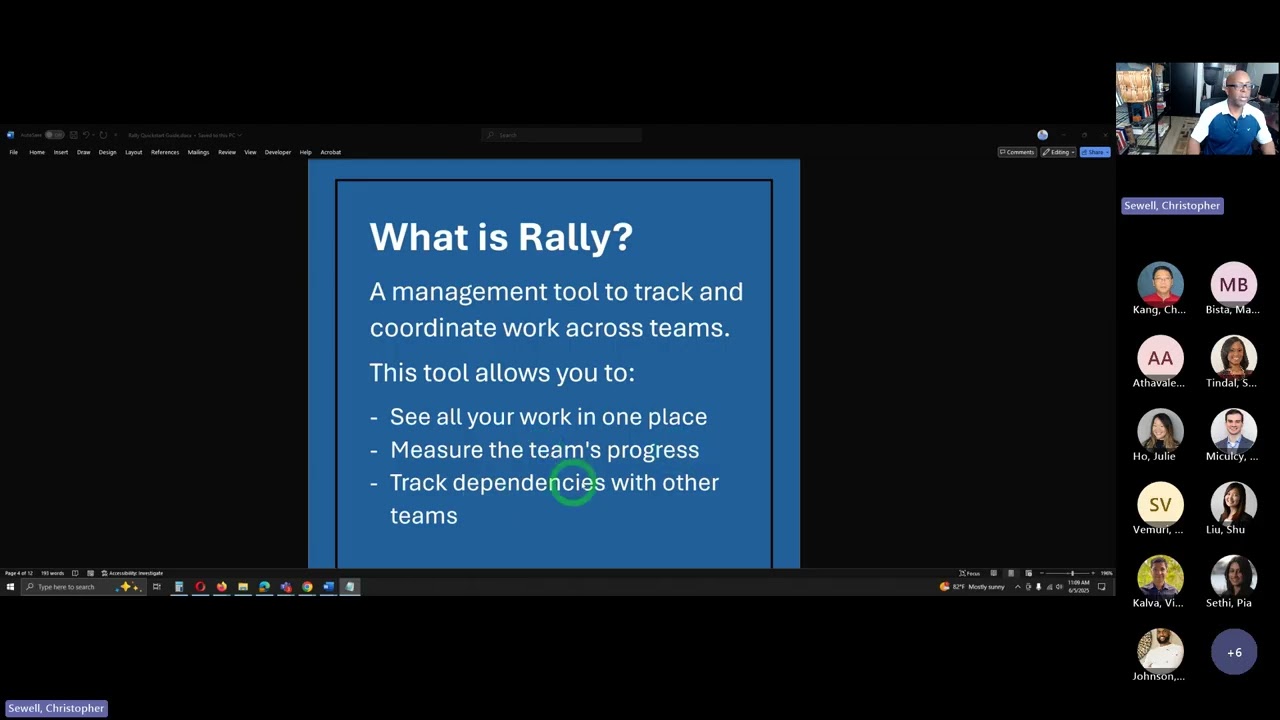 Rally Introduction - Business Systems