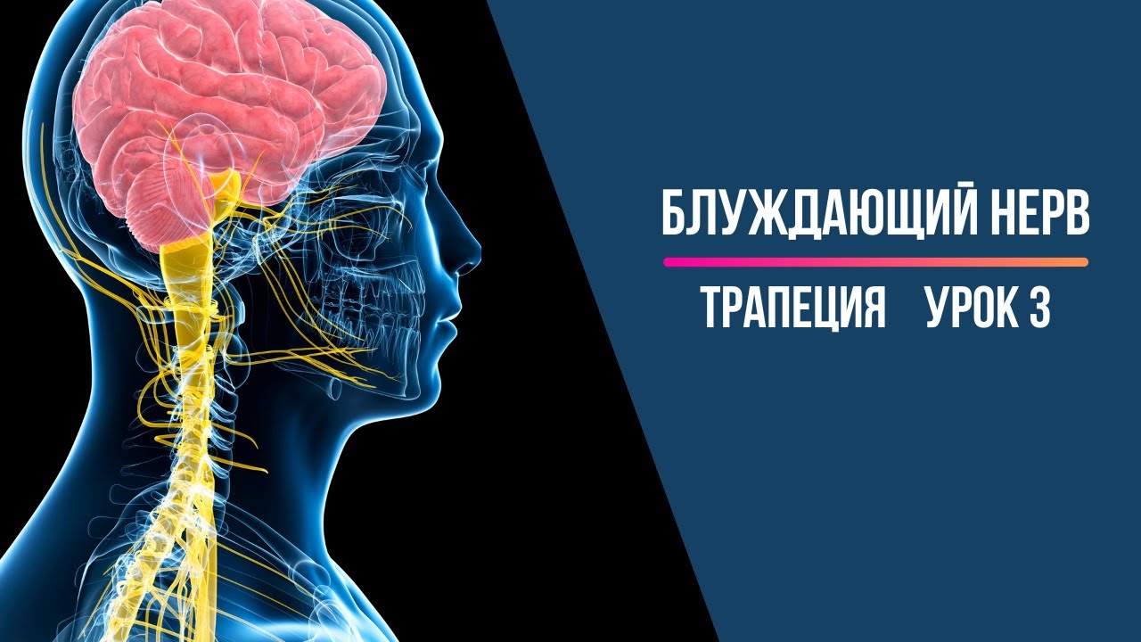 Блуждающий нерв Активация