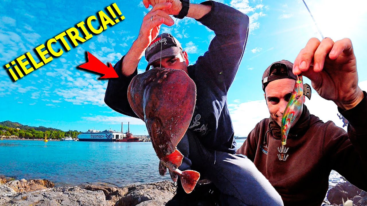 +20h de PESCA sin COMIDA... SURVIVAL CHALLENGE (Surf, Rock; Pan...)