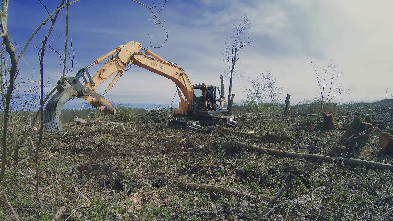 Разбираю Лесоповал На Экскаваторе Hyundai R220