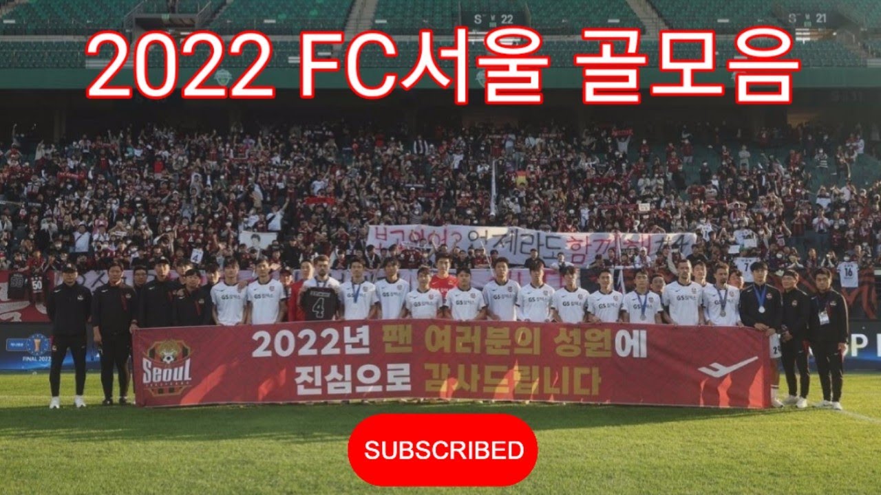 2022 FC서울 골 모음