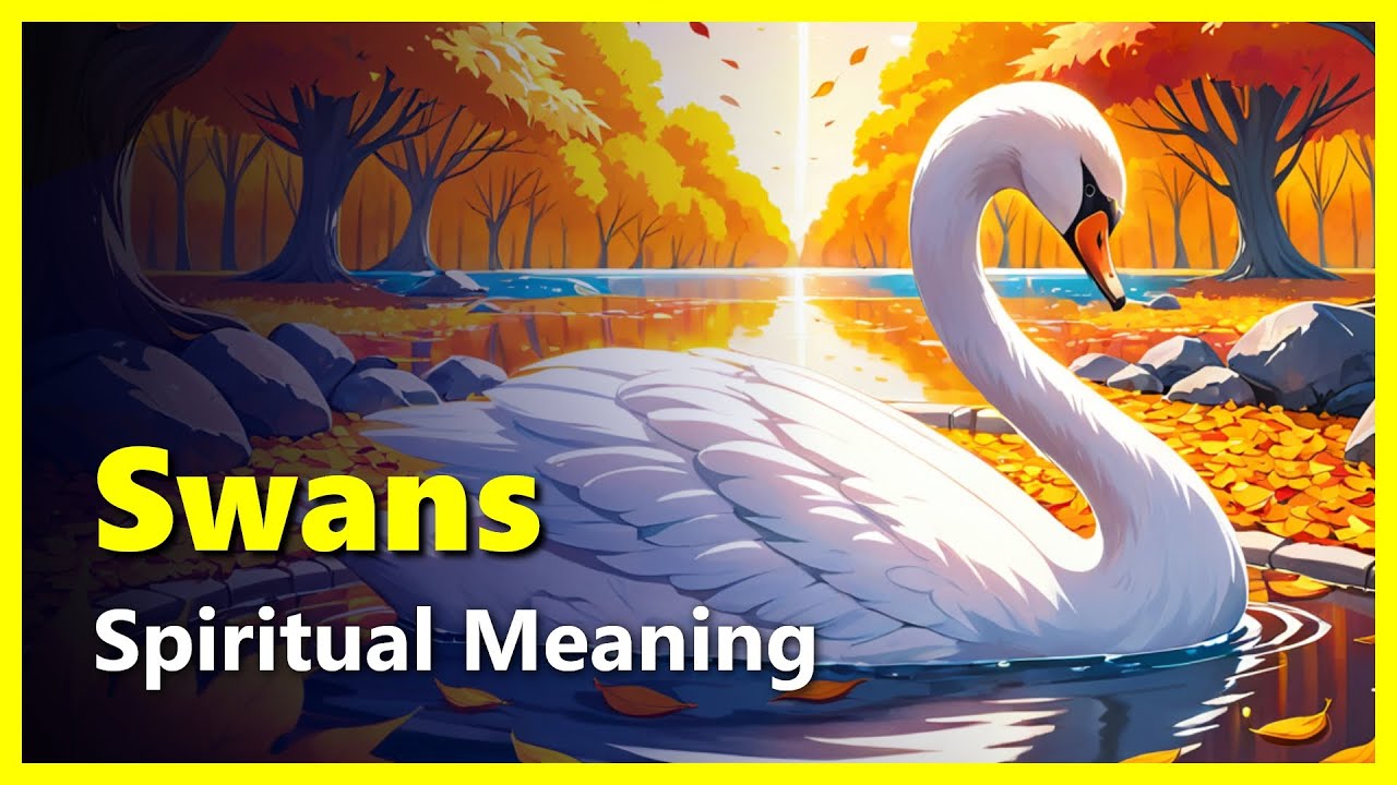 Spiritual Meaning of Swans (Dreams, Encounters & Historical Symbolism)