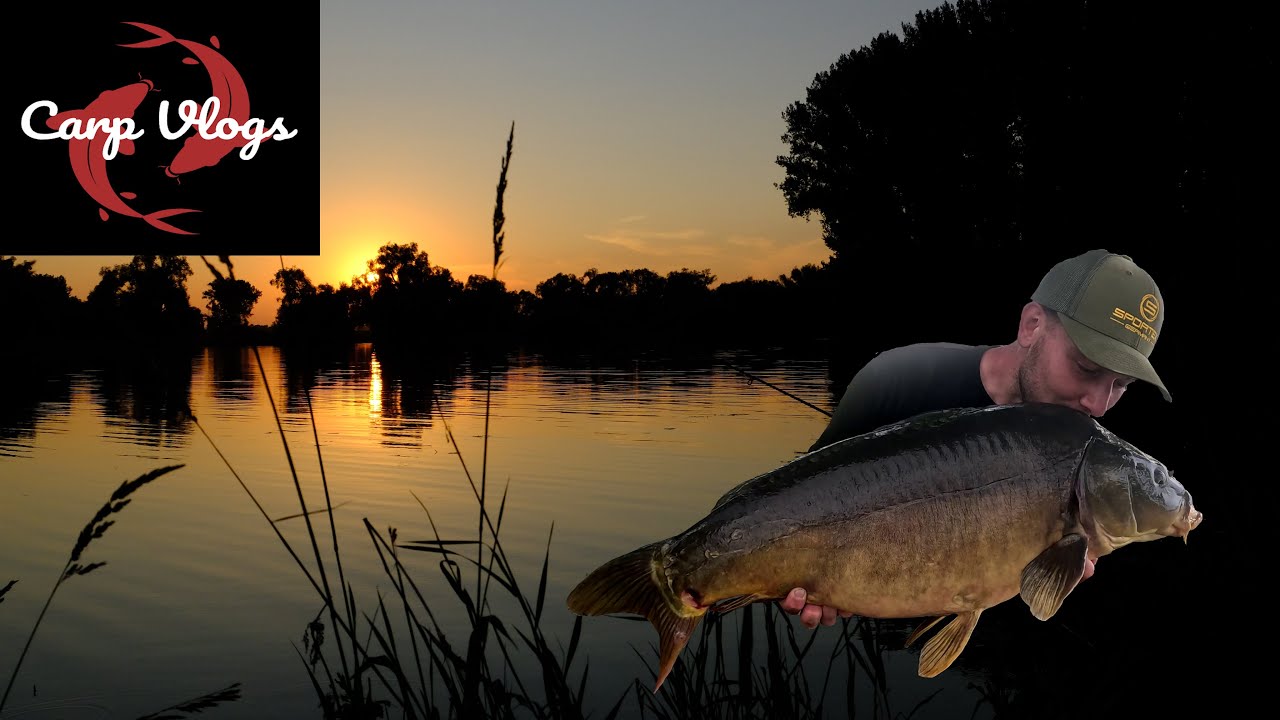 Karpfenangeln - Das ERSTE Mal an der DONAU!