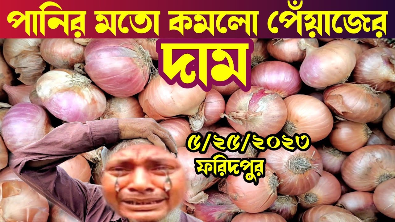 পানির মতো কমলো পেঁয়াজের দাম। পাবনা ফরিদপুর পেঁয়াজের পাইকারি হাট থেকে আজকের আপডেট। bangla bazar tv
