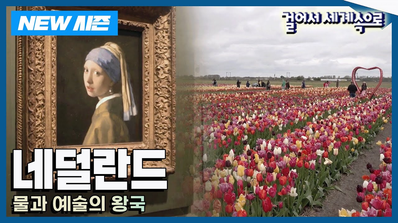 [✨NEW✨걸어서세계속으로📺] 다양한 색으로 빛나는 나라 '네덜란드' 여행 Trip to Netherlands (KBS_20240629)