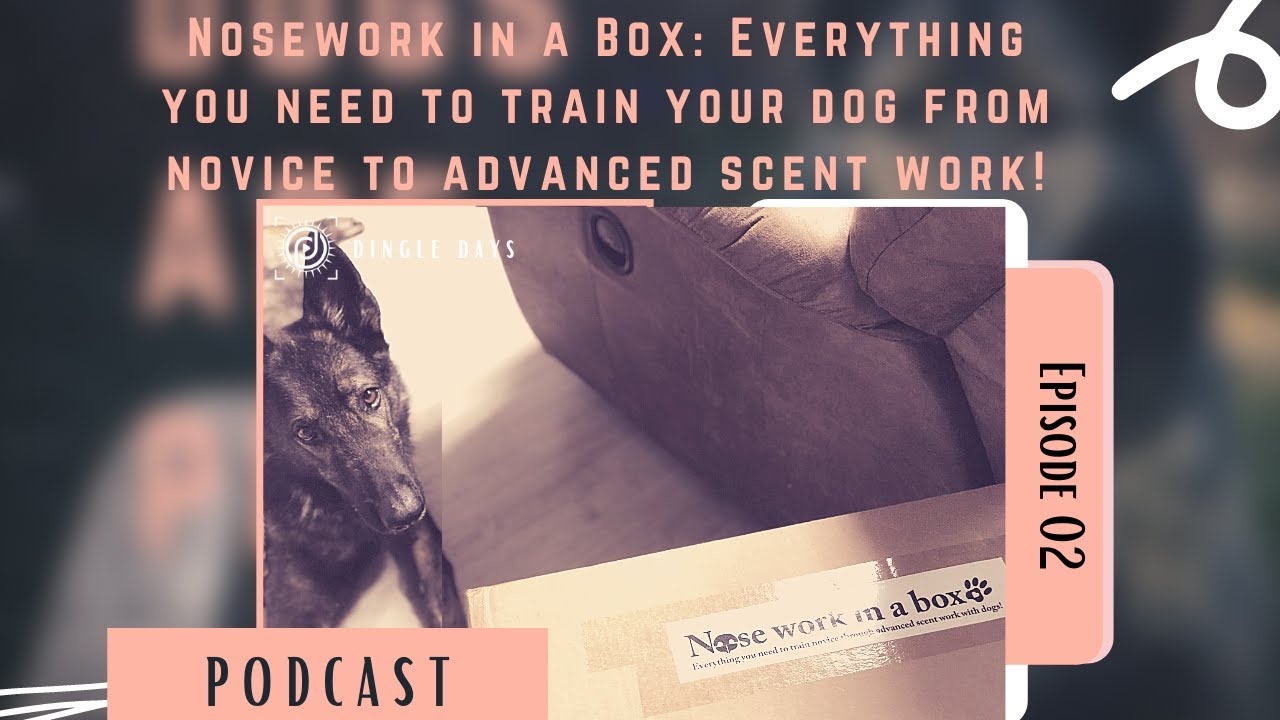 Nosework in a Box: All-in-one K9 Scent Work | #DingleDaysPodcast 002