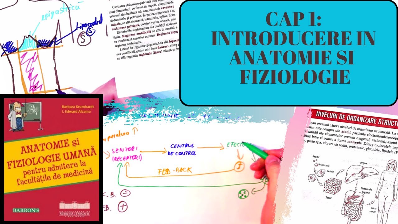 ADMITERE MEDICINA BARRON'S: INTRODUCERE IN ANATOMIE SI FIZIOLOGIE