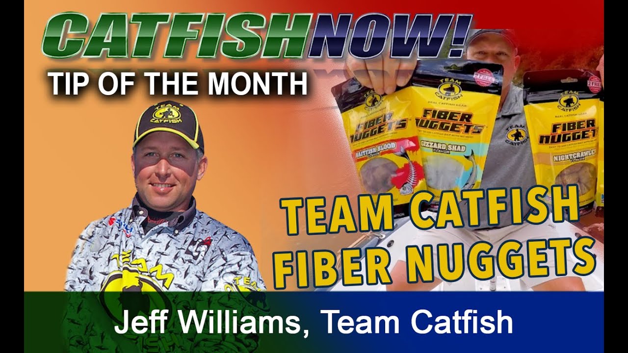 Team Catfish Fiber Nugget Catfish Bait
