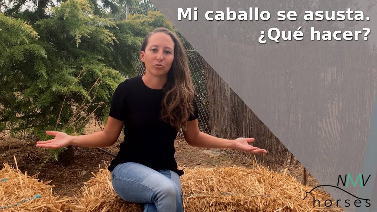 🐴¡Mi caballo se asusta!🐴 ¿Qué hacer cuando tienes un caballo asustadizo?🐴