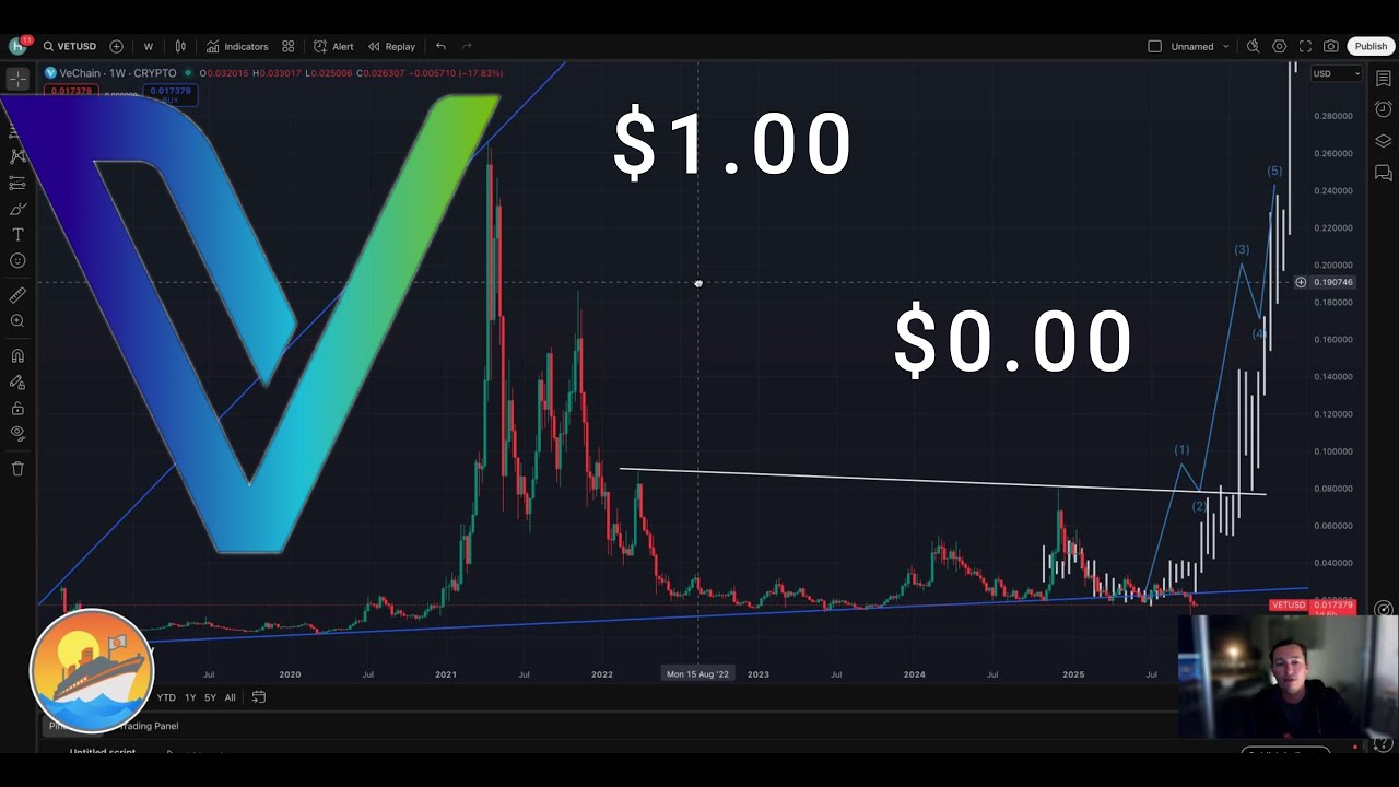 VeChain выше $1.00 или $0, как и почему #VET