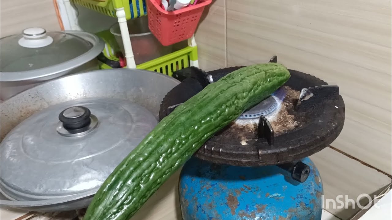 PAGKATAPOS NG HANDAAN,GANITONG ULAM ANG MASARAP ULAMIN😋🌻🪻