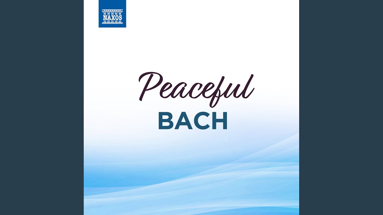 Keyboard Concerto in D Minor, Bwv 1052: II. Adagio