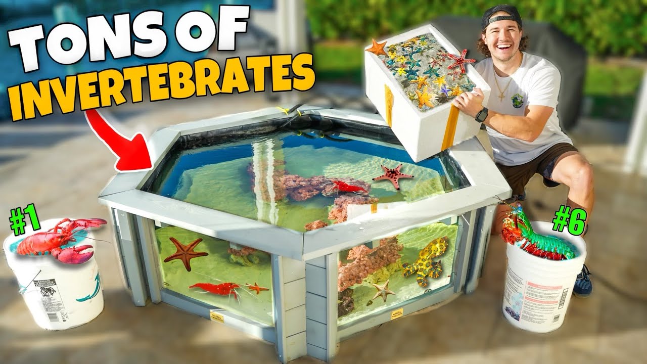 Stocking My SALTWATER MINI Pond With TONS Of RARE INVERTEBRATES!