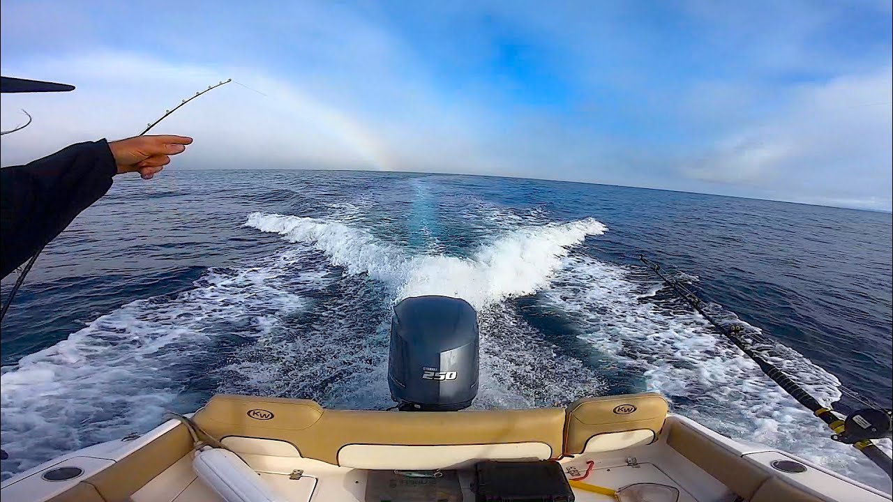 Chasing Bluefin Tunas Near the Coronados | Fishing San Diego Freedom Boat Club | June 2022