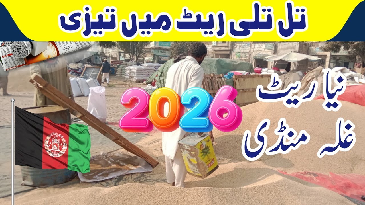 Good News Pakistan Sesame Seed Export 2026 | Global Trade & Price Prediction