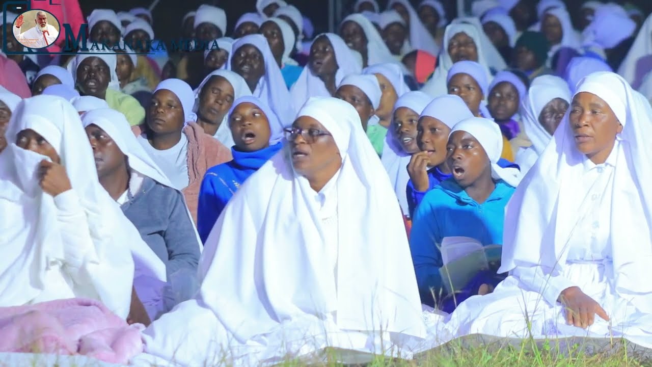 The African Apostolic Church