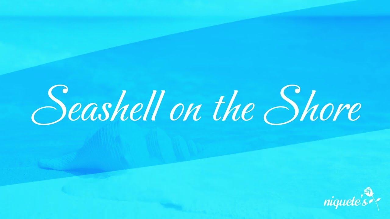 Seashell on the Shore-niquete's⚘️
