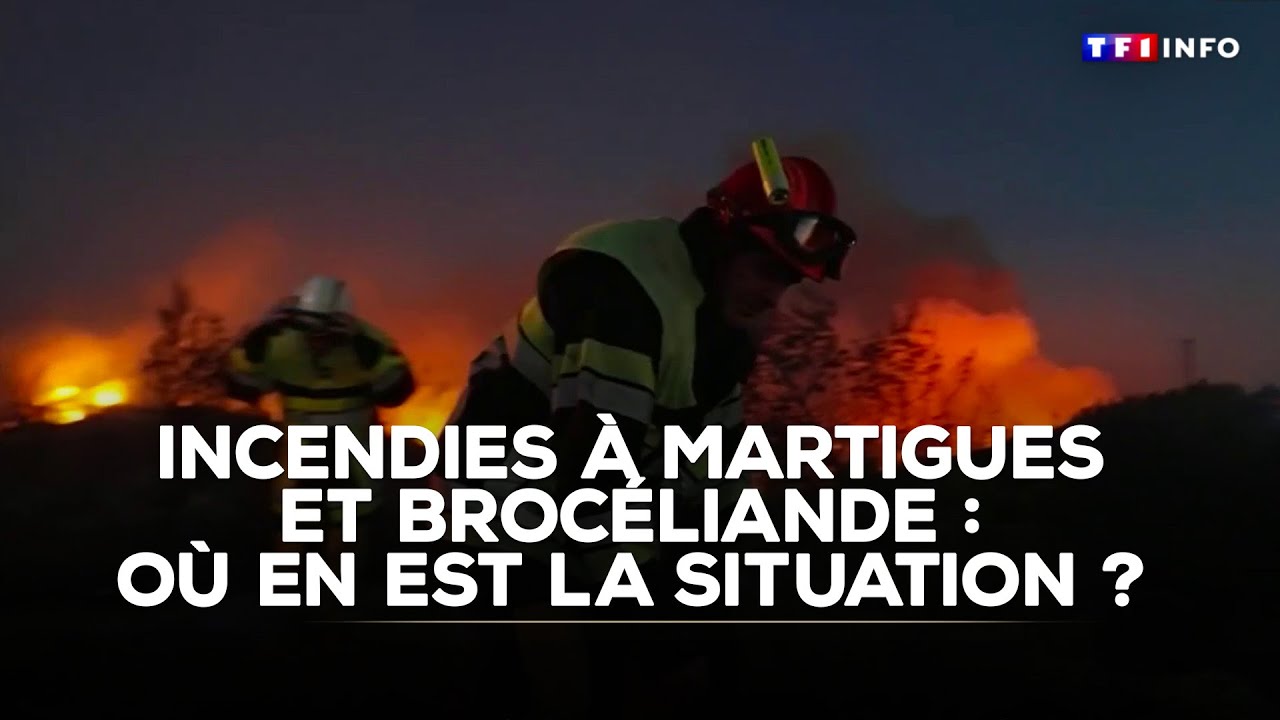 Incendies à Martigues et Brocéliande : où en est la situation ?｜TF1 INFO