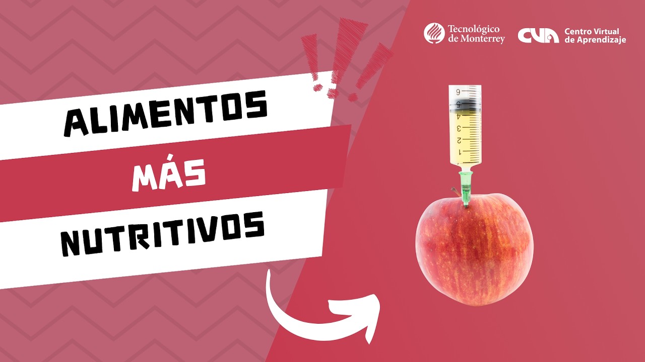 ¿Cómo se crean los alimentos transgénicos?