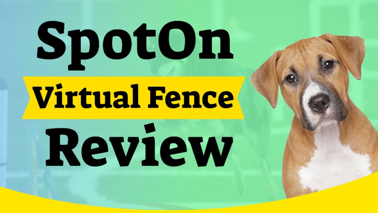 SpotOn Virtual Fence Review: Wireless Dog Fence and GPS Collar