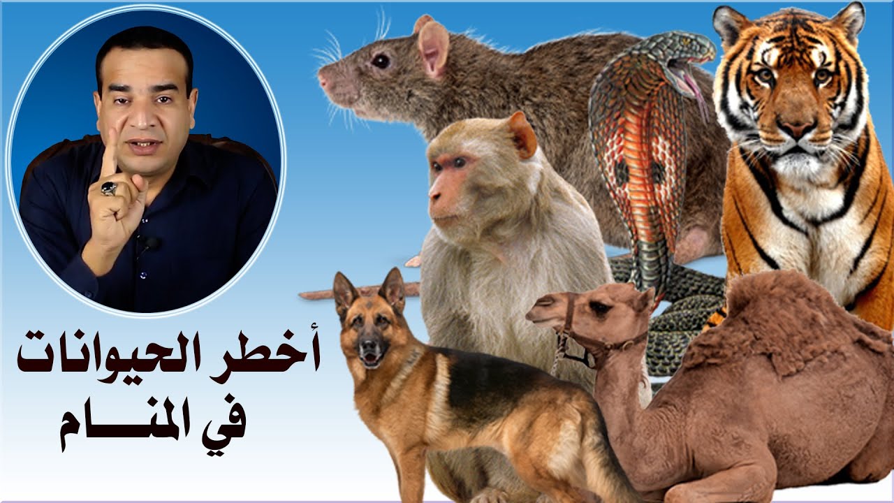 احذر أن رأيت هذه الحيوانات في المنام