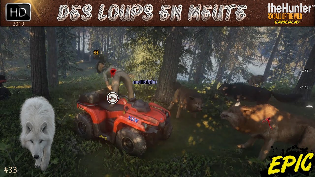 THEHUNTER CALL OF THE WILD YUKON VALLEY DLC #33 UNE CHASSE DES LOUPS EN MEUTE - JEU DE CHASSE 2019