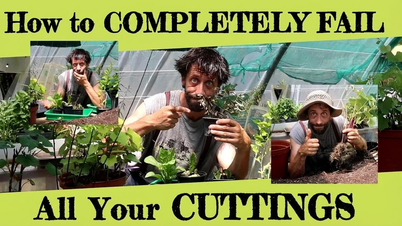 How to Totally Fail at Plant Cuttings!