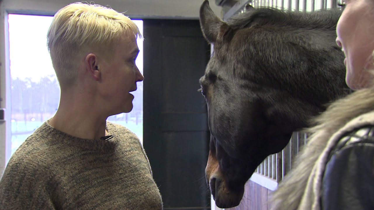 Maak nader kennis met De Paardenkapper
